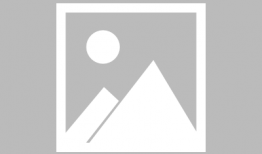 吸血鬼骑士动漫,爱与复仇的永恒纠葛