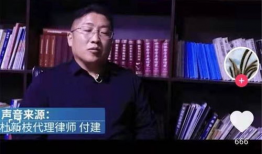 许敏直播展示91户,91户家庭生活全景展现